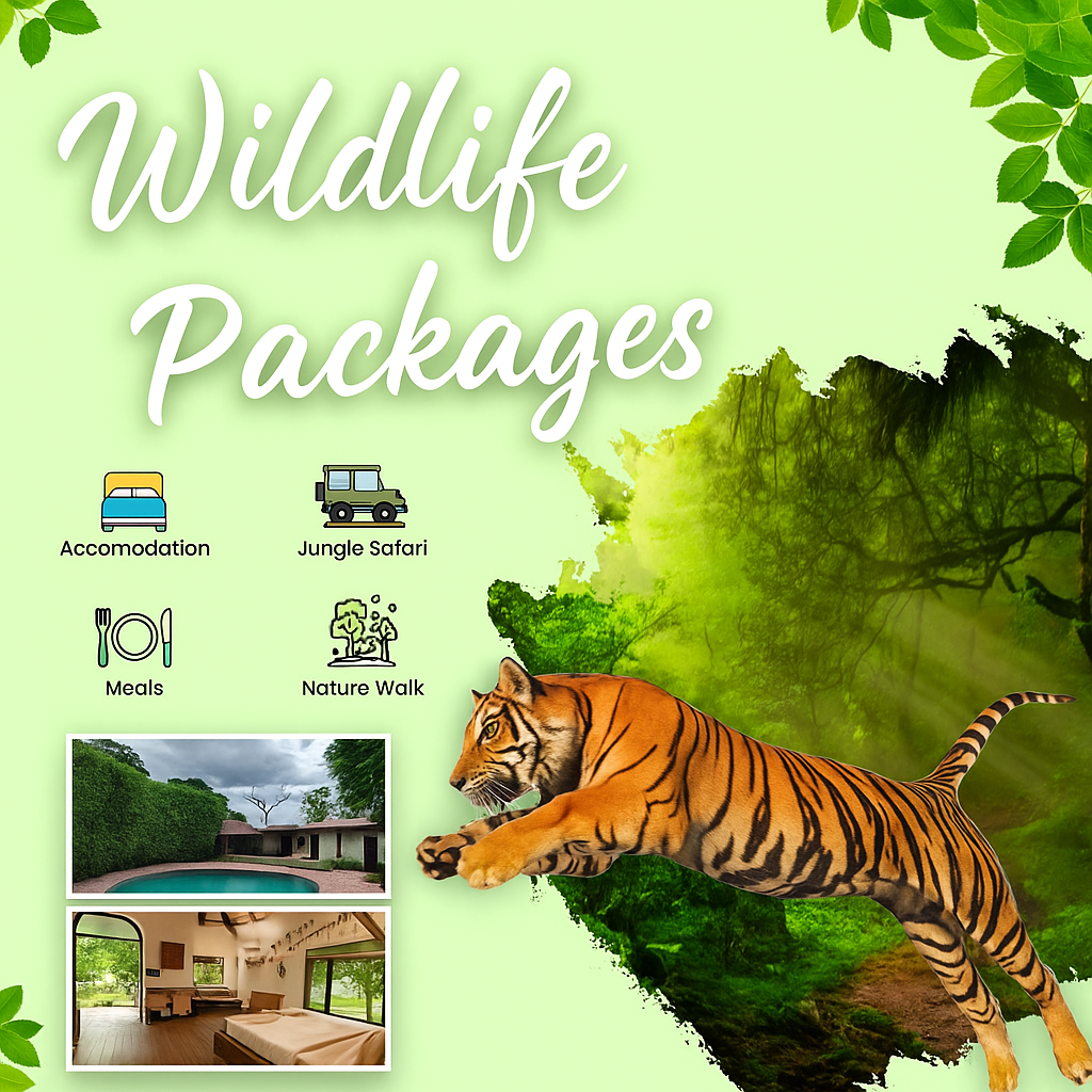 Wildlife tour packages in India by Joy Vacanza
