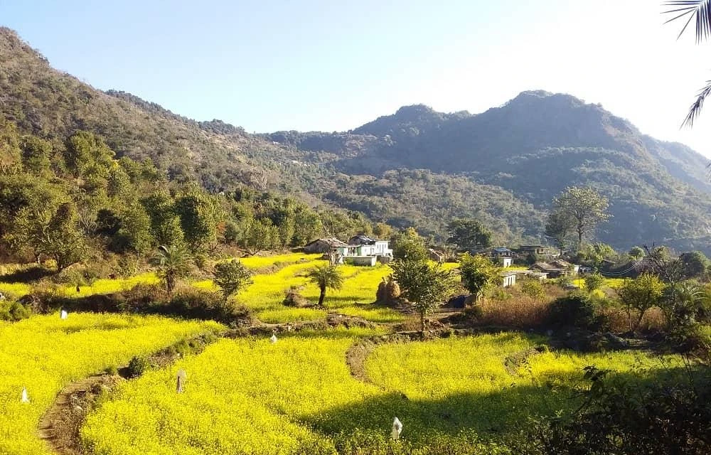 Local lifestyle in Yamunotri Gangotri Yatra Package (Ex-Delhi) tour package gallery image 7